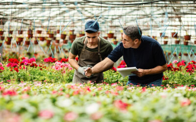 Here Are 5 of the Best Tips for Commercial Greenhouse Management