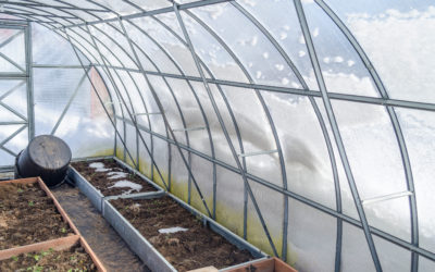 Preparing a Greenhouse for the Winter: 5 Things You Need To Do
